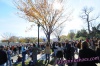 Rally to Restore Sanity and/or Fear