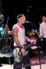 the bouncing souls