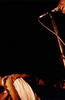 print fine art portfolio, 2002-2004
