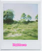 polaroids