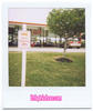 polaroids