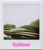 polaroids