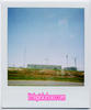 polaroids