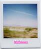 polaroids