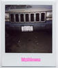 polaroids