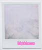 polaroids